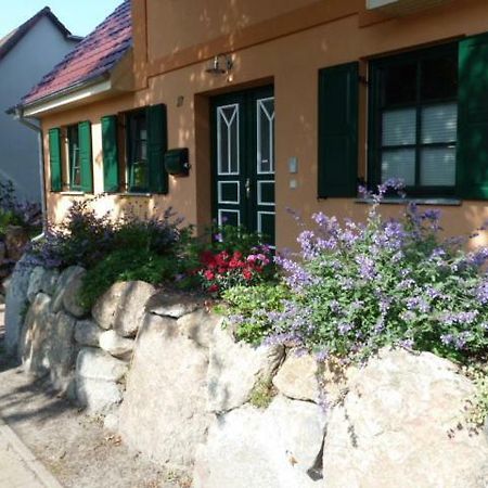 Ferienwohnung Thum Wustrow  Exterior foto